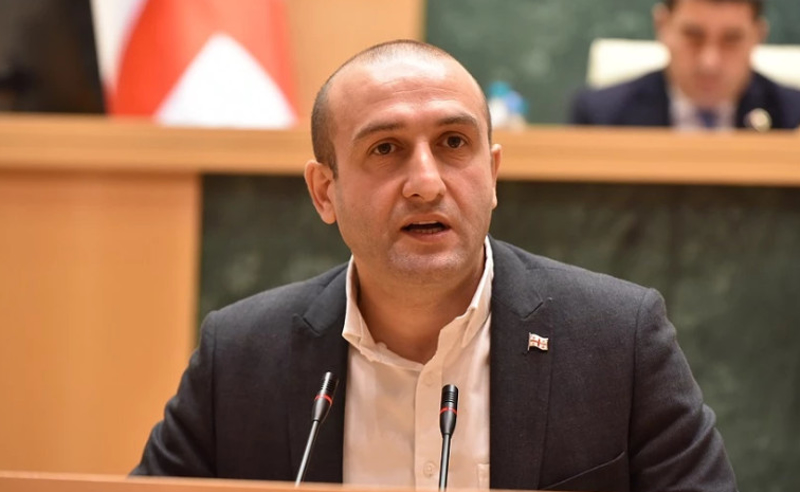 ხელისუფლებაში უნდა მიშას, ბიძინას და "გირჩს", "ლელოს" ანაკლია უნდა, ვაშაძეს ენმ-ს თავმჯდომარეობა - ხვიჩია
