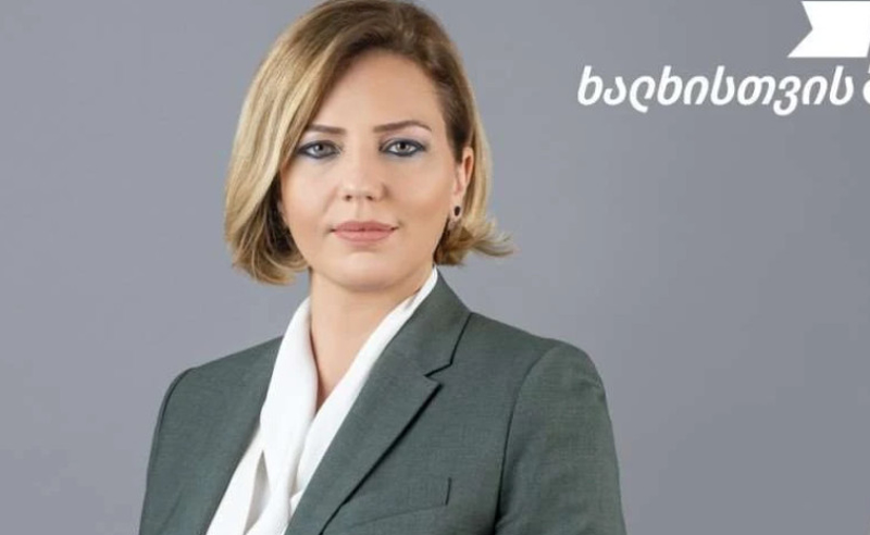 ენმ -ს უბრუნდებიან მისი უძღები შვილები - ანა დოლიძე ვაშაძის "ნაციონალურ მოძრაობაში" დაბრუნებაზე