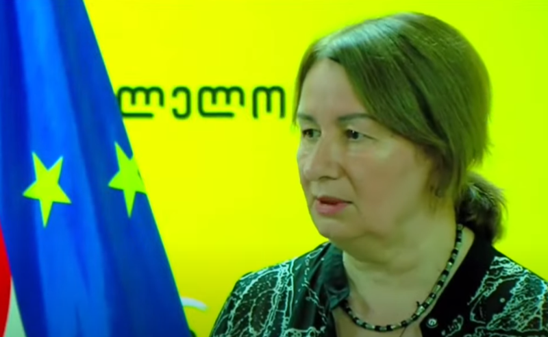 "ქართველი ახალგაზრდების "მოწამვლას" ემსახურება" - ფიქრია ჩიხრაძე რუსული უნივერსიტეტის შესაძლო გახსნაზე