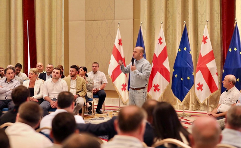 შეხვედრის შესახებ ტელევიზიით გავიგე - ენმ-ს წევრების ნაწილი ხაბეიშვილის წინააღმდეგ