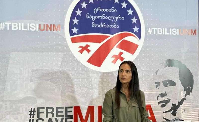 მტრობა და ერთმანეთის მიმართ ქვების სროლით ნაკეთები პოლიტიკა დამთავრდა - სოფო ჯაფარიძე