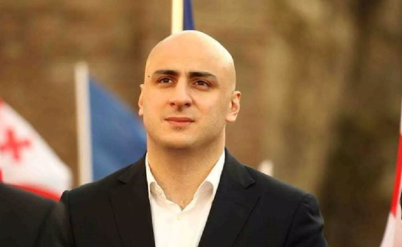 ივანიშვილი ერთადერთი ოლიგარქია, მაგრამ სხვა ადამიანებშიც არის სურვილი, რომ ოლიგარქები გახდნენ - მელია