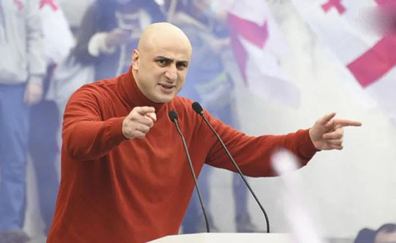 გამოვრიცხავ რომელიმე პოლიტიკურ პარტიაში წასვლას - მელია 