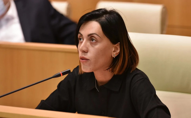ამაყი ვარ, რომ „ნაციონალურ მოძრაობაზე“ წარმოდგენები ირაკლი კობახიძის და კარასინის ერთნაირი არის - წითლიძე