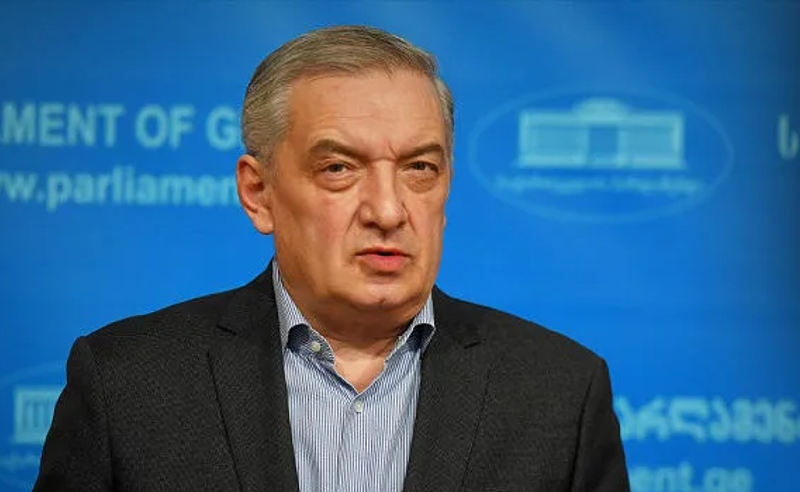 პოლიცია მოქმედებდა სტანდარტით და კიდევ უფრო რბილად - გია ვოლსკი 