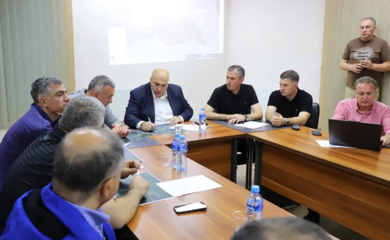 "აზერბაიჯანი და თურქეთი უფრო მალე ჩამოფრინდებოდა?" - რატომ არ სთხოვა საქართველოს მთავრობამ დახმარება მეზობელ ქვეყნებს