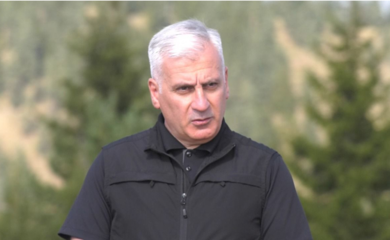 სადაც კოტეჯები არსებობდა, იქ, ფაქტობრივად, არაფერი აღარაა - თემურ მღებრიშვილი