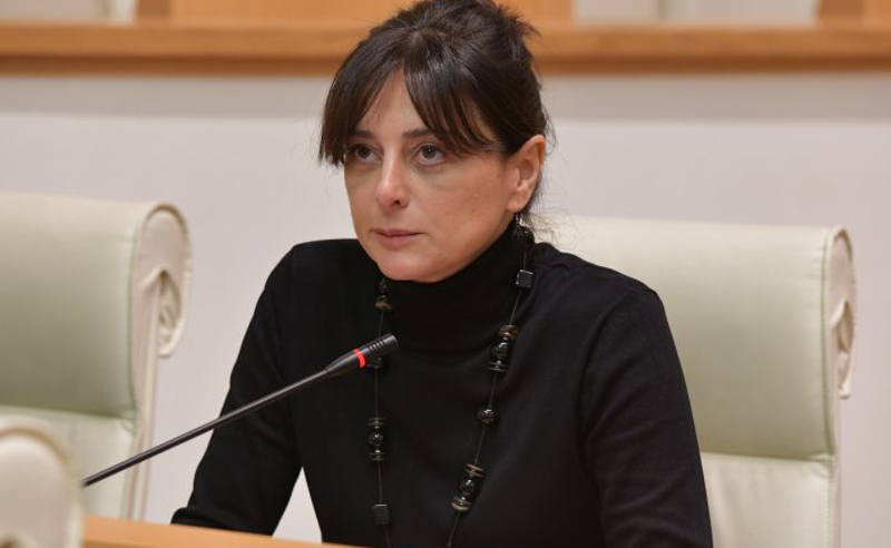ენმ-ს  დროს განხორციელდა და მთლიანად გაუქმდა მონიტორინგის სისტემა - ბითაძე შოვის ტრაგედიაზე