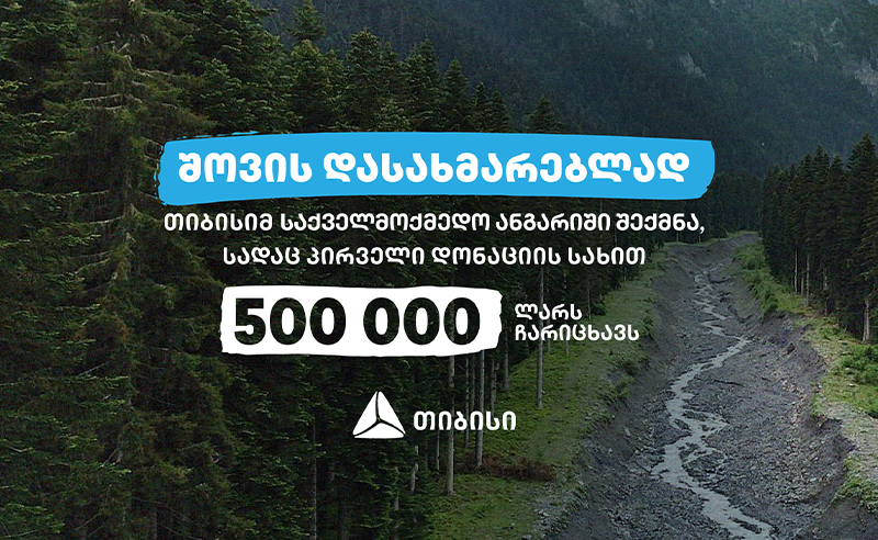 თიბისიმ რაჭაში სტიქიით დაზარალებულთა დახმარების ფონდი შექმნა, რომელშიც ნახევარ მილიონ ლარს შეიტანს