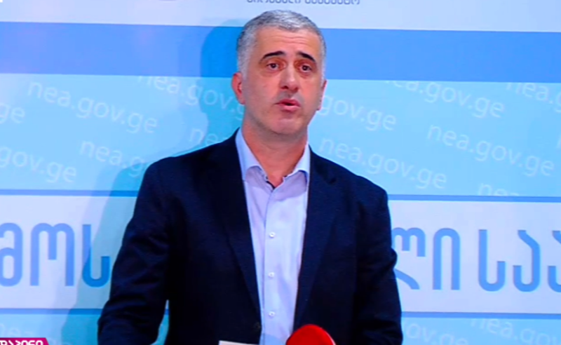 შოვის ტრაგედიის თავიდან აცილება შეუძლებელი იყო - გარემოს დაცვის მინისტრი