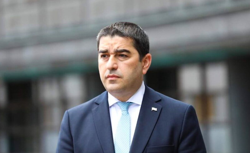  მათ, ვინც ევროპაში საქართველოსთვის სტატუსის მინიჭებას სკეპტიკურად უყურებს, "ოცნება" სააკაშვილის მოკავშირედ აცხადებს 