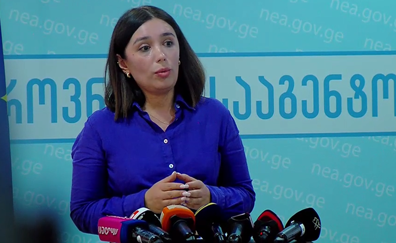სტიქიის ადგილას ადრეული გაფრთხილების სისტემები რომ ყოფილიყო, მოესწრებოდა თუ არა ხალხის ევაკუაცია - უწყებაში კითხვას ვერ პასუხობენ