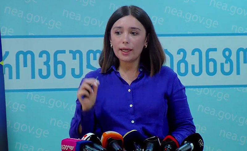 რა დრო გავიდა კლდის მოწყვეტიდან შოვის ღვარცოფით დაფარვამდე - გარემოს ეროვნულ სააგენტოში კითხვას ვერ პასუხობენ