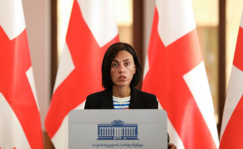 მოლოდინი, რომ საკუთარ თავს გამოუტანენ განაჩენს, ნამდვილად არ გვაქვს - წითლიძე