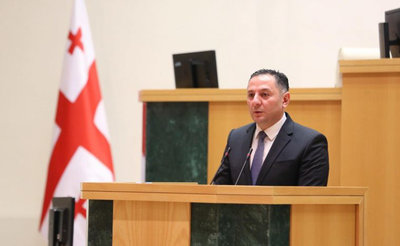 რატომ დაიწყო 3 საათის დაგვიანებით შოვში სამაშველო ოპერაცია? - ენმ შს მინისტრს პარლამენტში იბარებს