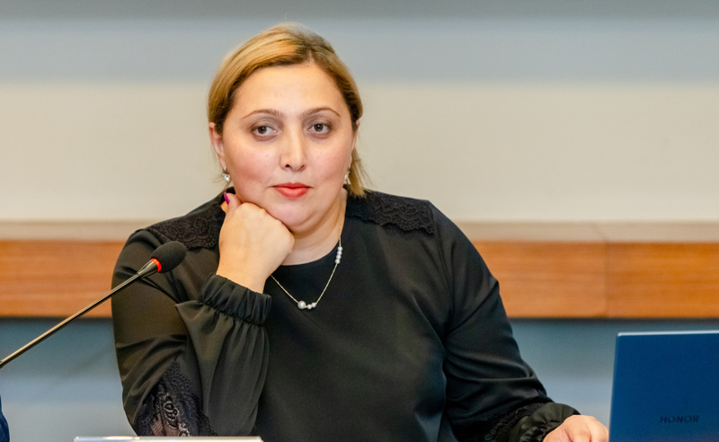 კობახიძის განცხადება არის გაუმართლებელი და შეიძლება სამართლებრივი კუთხითაც იყოს პრობლემური - ჯანეზაშვილი