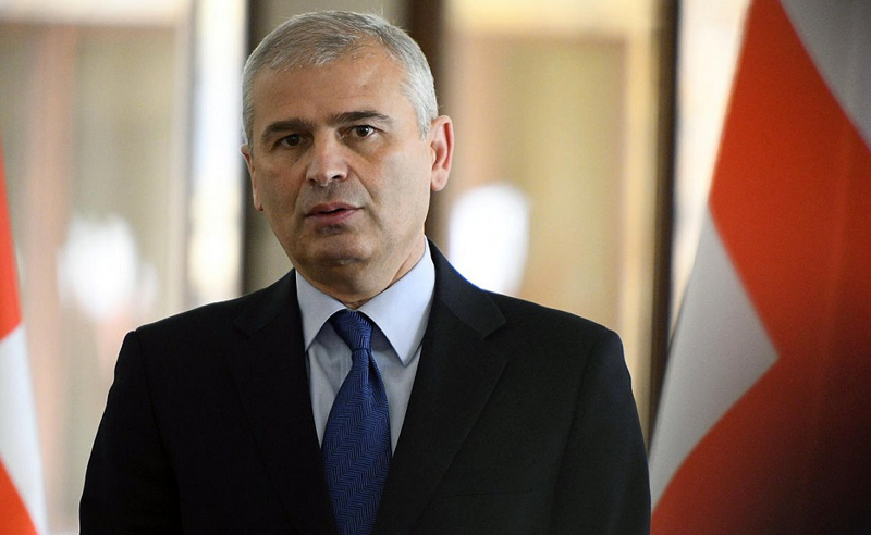 როდესაც ჯერ გამოძიება მიმდინარეობს, რა პარალელურ გამოძიებას იწყებ? -  ქადაგიშვილი 