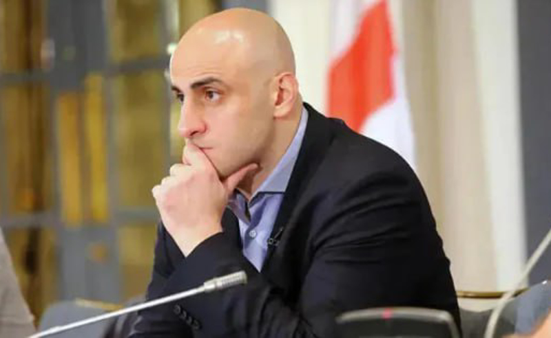 ფიქრობენ, რომ შოვის ტრაგედიამ ელექტორალური უპირატესობა არ დააკარგვინოს - ნიკა მელია