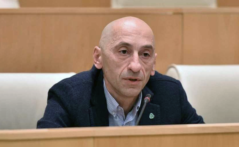"ოცნებას" მისი პროკურორი შოთაძე და მოსამართლე მურუსიძე პასუხისმგებლობას ვერასდროს დააკისრებს - მეგრელიშვილი