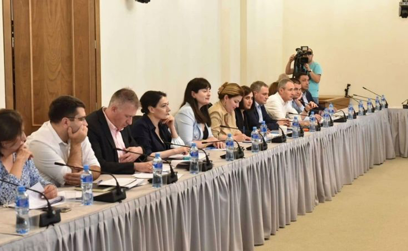 ახალი შეტევა NGO-ებსა და ოპოზიციურ პარტიებზე - "ოცნების" სატელიტი ორგანიზაცია აუდიტს შემოწმების მიზნით მიმართავს