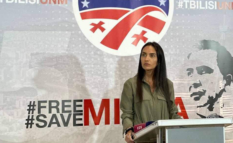 სააკაშვილის და ხალხის მზაობა არის, რომ წინასაარჩევნო, რთული გზის გასაღები ვიპოვოთ - სოფო ჯაფარიძე