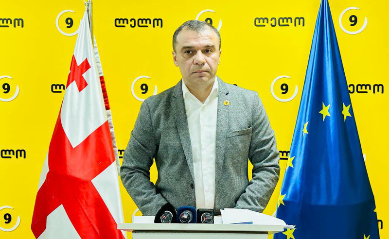 გამოძიება რეალურად არ მიმდინარეობს და რა შუალედური დასკვნა უნდა გამოაქვეყნონ - სამუშია