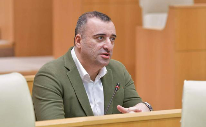 კელი დეგნანი იმ ელჩებში არ იქნება, ვისთანაც მეგობრობას გავაგრძელებ - იონათამიშვილი