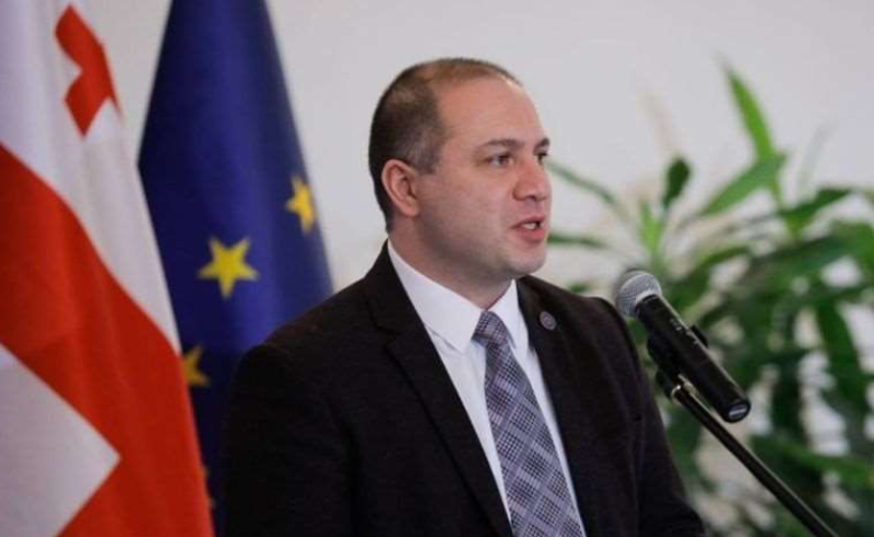ენმ ცდილობს ძლიერი პრემიერის და ძლიერი მთავრობის წინააღმდეგ კითხვები გააჩინოს - მიქანაძე შუალედურ დასკვნაზე