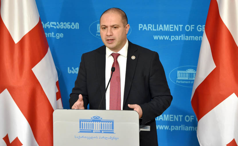 "ადამიანი ადამიანობით განისაზღვრება" - "ქართული ოცნება" სეისმოლოგ თეა გოდოლაძის წინააღმდეგ