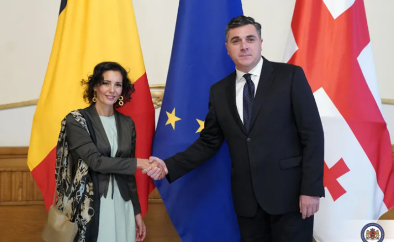 ილია დარჩიაშვილი ბელგიის საგარეო საქმეთა, ევროპის საქმეთა და საგარეო ვაჭრობის, ფედერალური კულტურული ინსტიტუტების მინისტრს შეხვდა