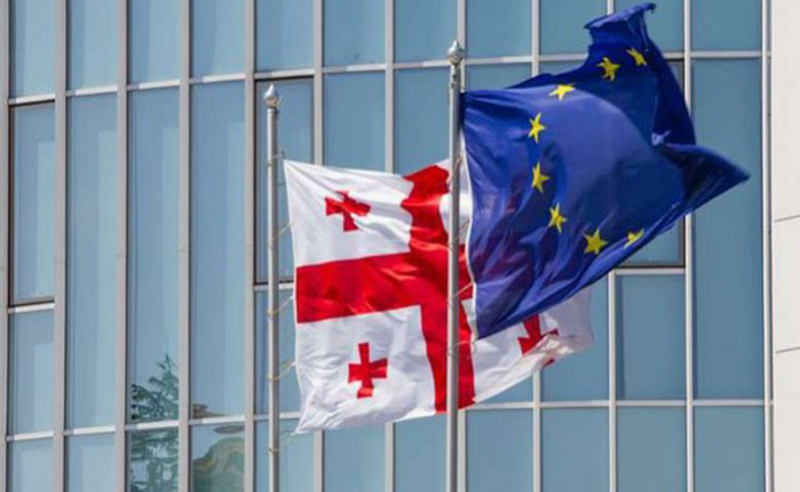 ევროკავშირის გაფართოება 2030 წლისთვის - რა შეფასებები მოჰყვა ოპოზიციაში მიშელის გზავნილს