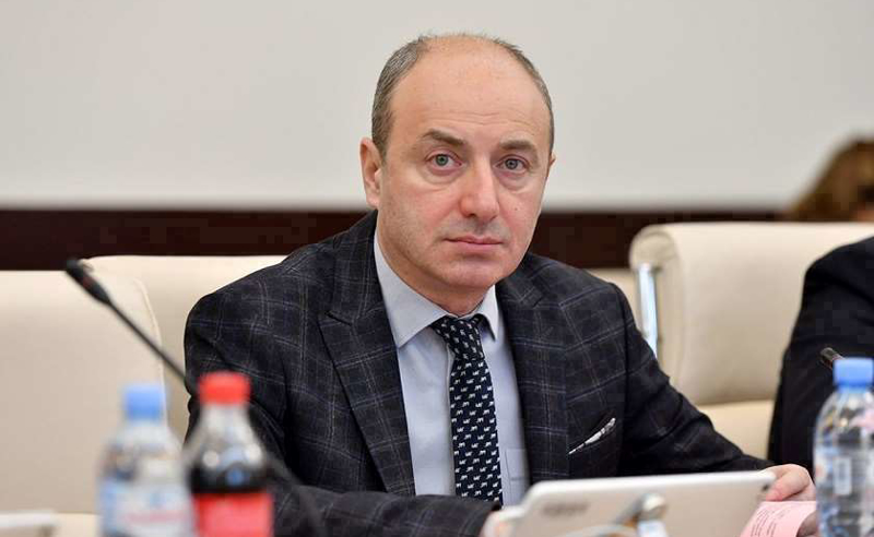 ეს არის საქართველოს მოქალაქის ჩვეულებრივი ვიზიტი - გურამ მაჭარაშვილი პრეზიდენტზე