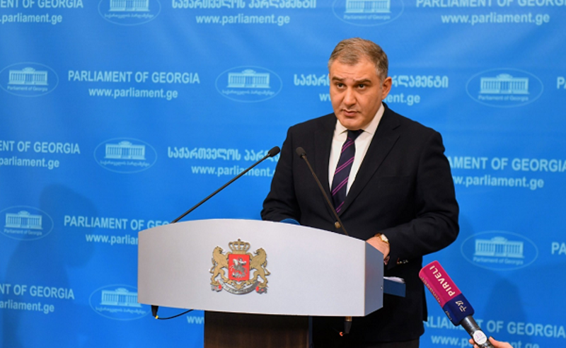 კონსტიტუციით ვალდებულია შეგვითანხმდეს და შემდეგ დაგეგმოს აქტივობები - სარჯველაძე პრეზიდენტზე