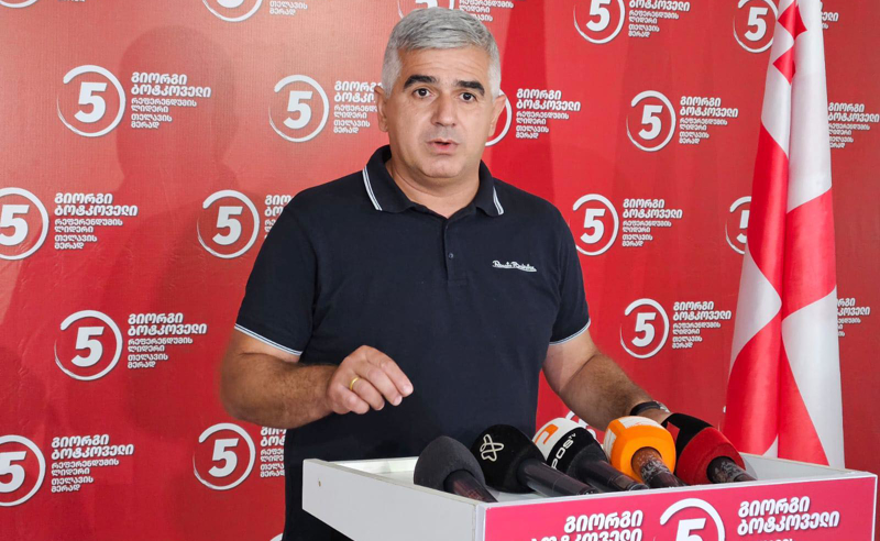 ხელისუფლება გამოდის და ამბობს, რომ მევენახისგან ჩაიბარებს იმას, რაც უკვე აღარ არსებობს - გიორგი ბოტკოველი