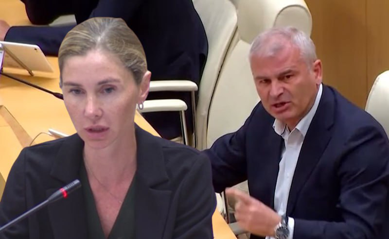 დაპირისპირება პარლამენტში - ბოკუჩავა ქადაგიშვილს გინებაში ადანაშაულებს