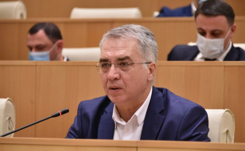 დავით სერგეენკოს სადეპუტატო უფლებამოსილება არ შეუწყვიტეს, ქეთევან დუმბაძეს - კი 