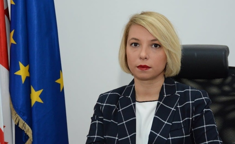  ნინო ლომჯარიამ მოძრაობა "საქართველოს ევროპული ორბიტა" დააფუძნა