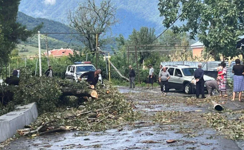განადგურებული მოსავალი, მოგლეჯილი ხეები, დატბორილი ეზოები - სტიქია ლაგოდეხში 