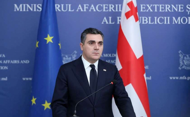 "არ შეხვიდეთ რაოდენობრივ შეფასებაში" - დარჩიაშვილი ევროკავშირის რეკომენდაციებზე