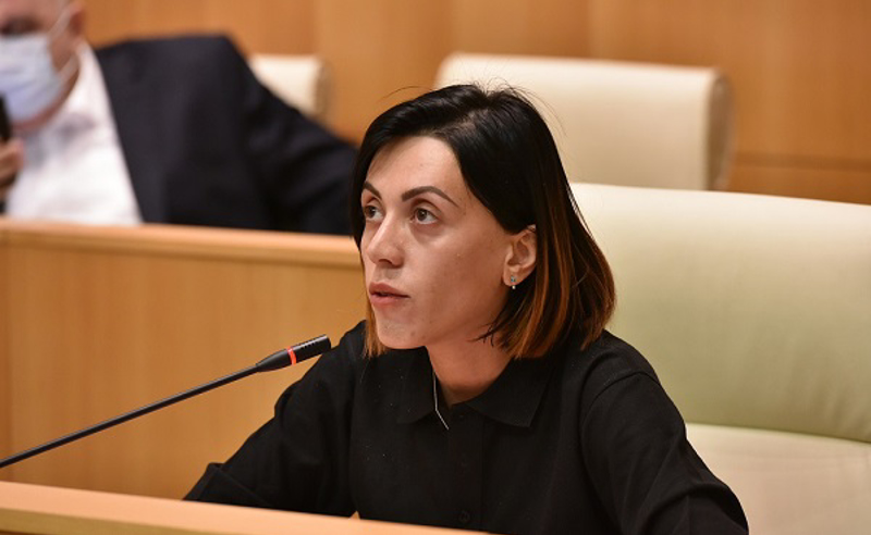 პრეზიდენტისგან ველი კონკრეტული ნაბიჯების გადადგმას და ბერკეტების გამოყენებას, ვგულისხმობ სააკაშვილის საკითხს - წითლიძე