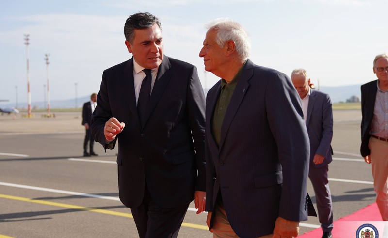 დარწმუნებული ვარ, რომ ბორელის ვიზიტს პროცესებზე შესაბამისი გავლენა ექნება - დარჩიაშვილი