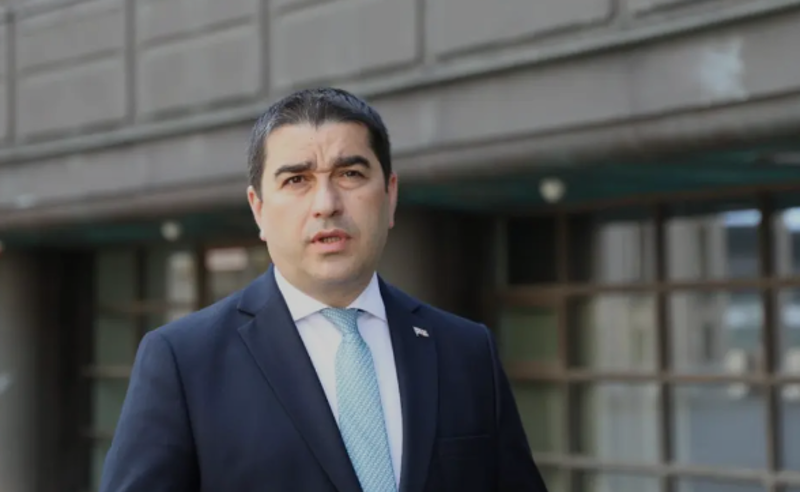 პრეზიდენტის კონსტიტუციისადმი დაუმორჩილებლობა რუსული მიდგომაა - პაპუაშვილი