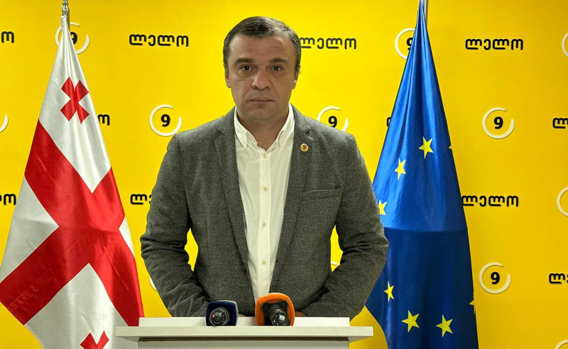 "ეს არის სისხლის სამართლის სავარაუდო დანაშაული" - "ლელო" ღარიბაშვილის წინააღმდეგ იმპიჩმენტის პროცესს იწყებს