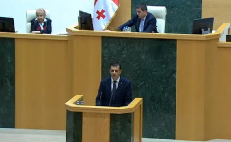 პრეზიდენტის საპარლამენტო მდივანი სჯობს ჩაეტიოს თავისი უფლებამოსილებისა და კომპეტენციის ფარგლებში - პაპუაშვილი