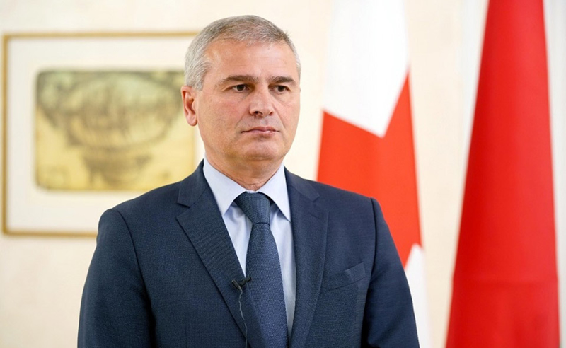 ოპოზიციას შანსი მიეცა აგენტურის მოშორების - ქადაგიშვილი იმპიჩმენტზე
