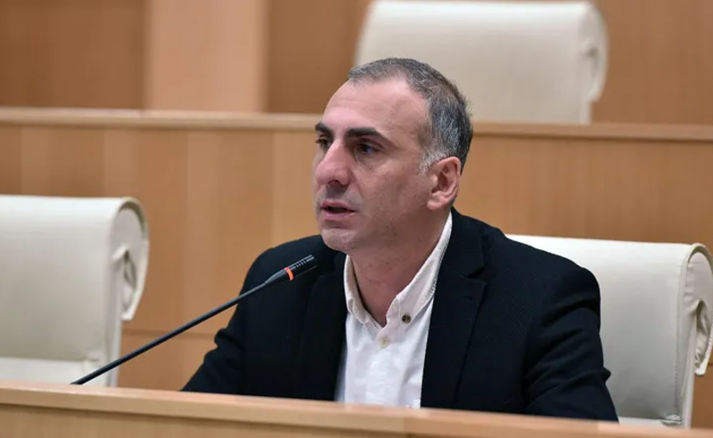  არ გამოვა ეს იმპიჩმენტი? - ელისაშვილი "ლელოს" ინიციატივას არასერიოზულს უწოდებს