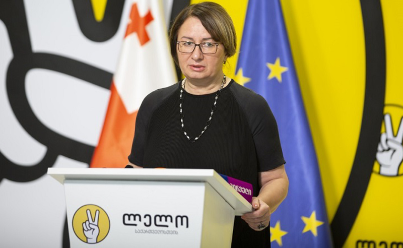 შესაძლოა, არჩევნებმა ისე ჩაიაროს, რომ ღარიბაშვილმა დეკლარაცია ვერ შეავსოს, ამიტომ ვერ მოვიცდით - ფიქრია ჩიხრაძე