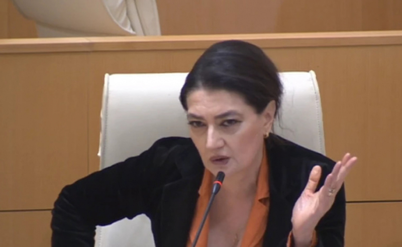 პრემიერის მამას მოვთხოვთ, აჩვენოს ფულის წარმომავლობა - თაკო ჩარკვიანი