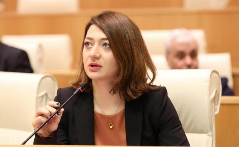 ენმ-ს არ აქვს იმედი, რომ საკუთარ დეპუტატებს გააკონტროლებს - გახარიას გუნდი