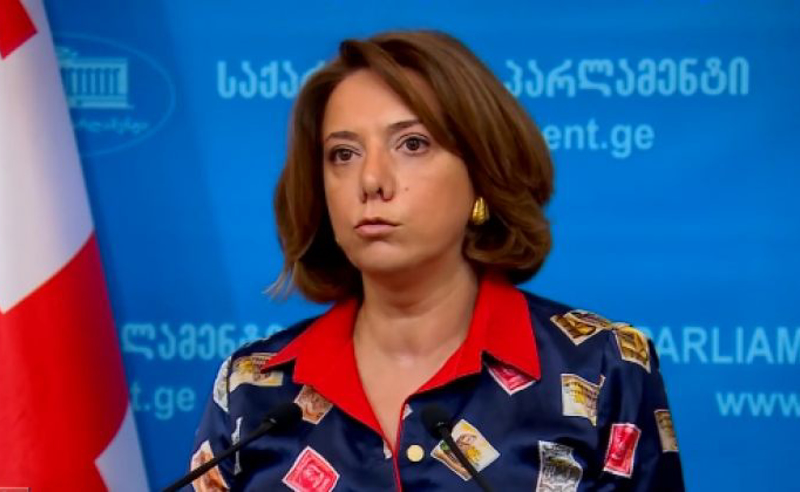 "ოცნებას" ვერ ლომჯარიას, ვერ "ლელოს", ვერც პრეზიდენტის "ნაცმოძრობად" გამოცხადება ვერ უშველის - სამადაშვილი